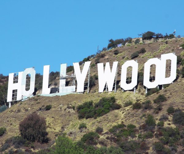 hollywood d